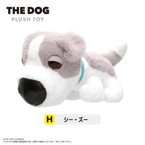 TD-01 THE DOG ʂ H : ް 