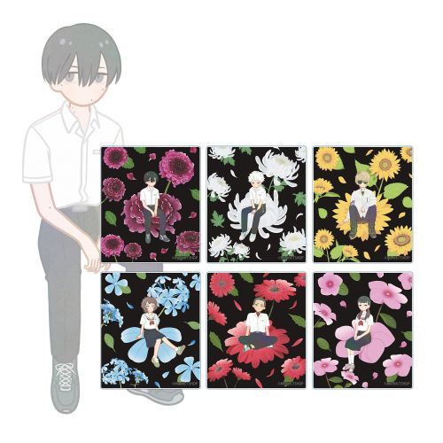 TV u񂾉āv ڰިݸ Botania ٶ BOX 