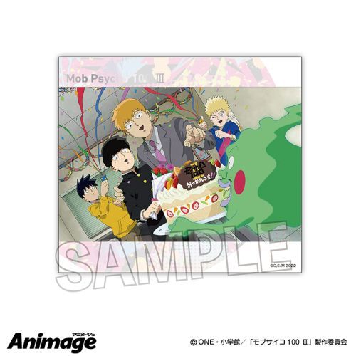 ��޻��100 III Animage ��׷�אF�� B 