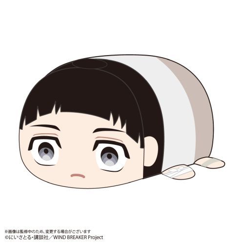 WB-22 WIND BREAKER �ۂĺ�Ͻ��� BIG 3 F : ���G�� 