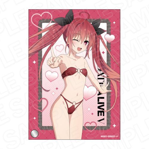 �ްĥ��ײ��V �Ʊ��ٱ�� �܉͋՗� 12���N �ݼުذ Ver. 