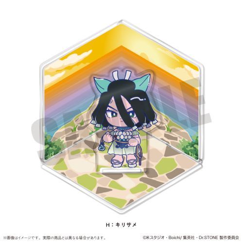 TV uDr.STONEv ɂ`Ƃ e ټ޵ H ػ 