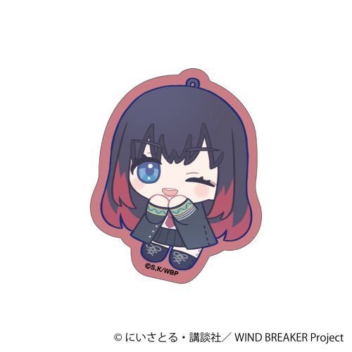 WIND BREAKER ï / ֖C ʂ  