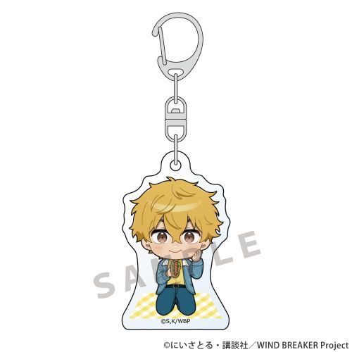 WIND BREAKER ���ٷ����ް (����H�F / �߸Ư�) 