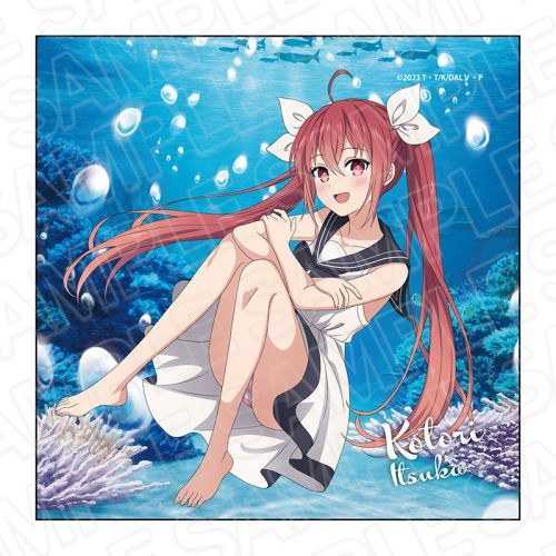 ްĥײ V ϲ̧ް ܉͋՗  Ver. 