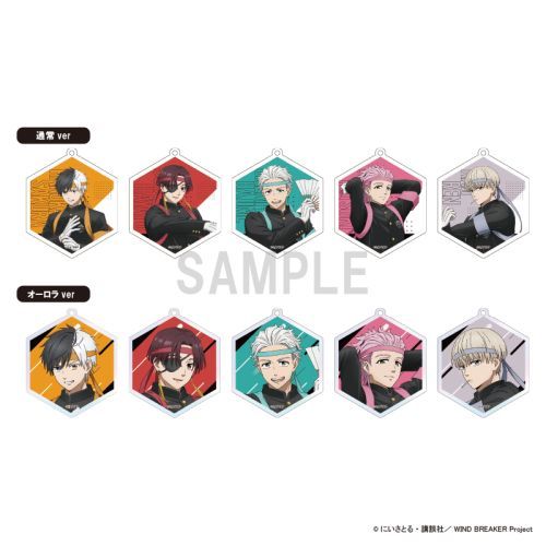 WIND BREAKER ٷްڸ c Ver. BOX 
