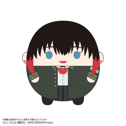 WB-20 WIND BREAKER ӂۂ BIG 3 E : ֖C 