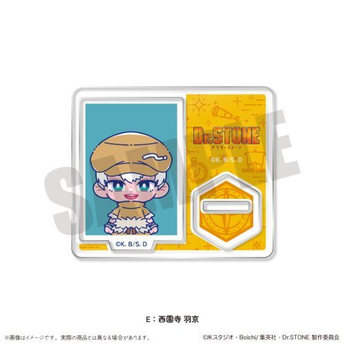 TV uDr.STONEv ɂ`Ƃ ID̫ĕƽ E H 