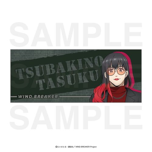 WIND BREAKER ̪����� �֖�C 