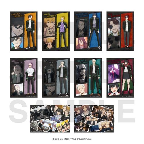 WIND BREAKER �ڰ�ިݸ� �۸������ϲ�� BOX 