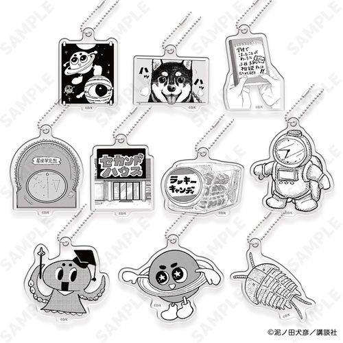 �N�ƉF����������߂� �����ڸ��� B BOX 