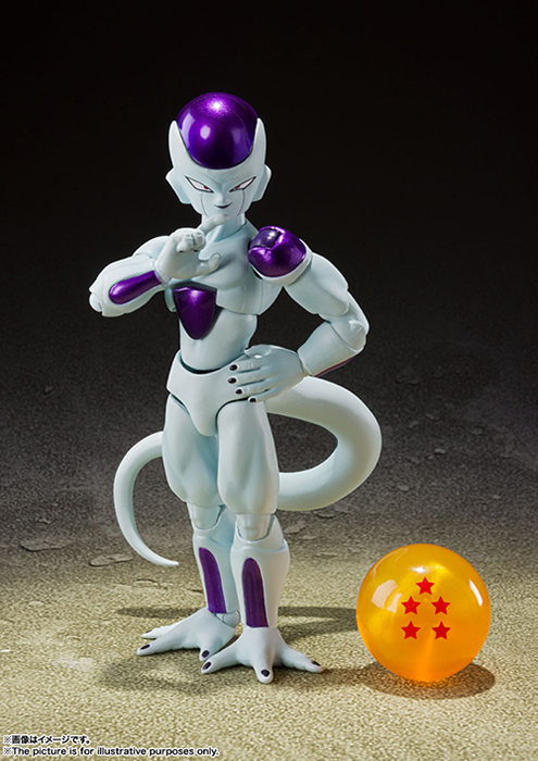 S.H.Figuarts ׺ްZ ذ l` 