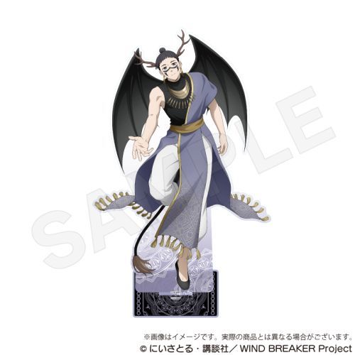 WIND BREAKER ޯޱٽ  Ver. G 