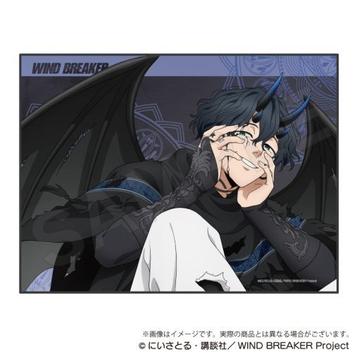WIND BREAKER ݹ  Ver. ݓƐ^l 