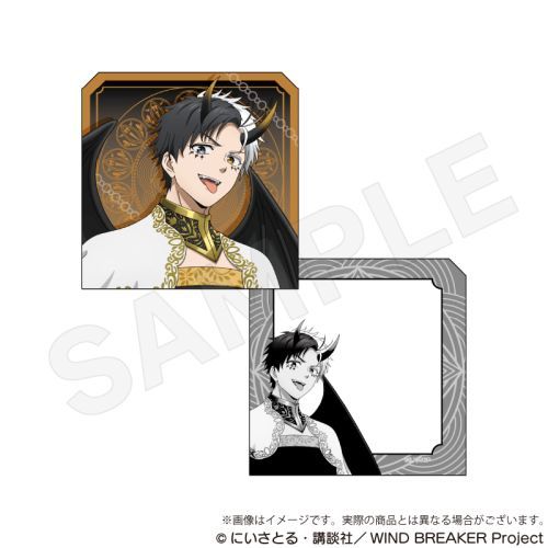 WIND BREAKER ӕt  Ver. y 