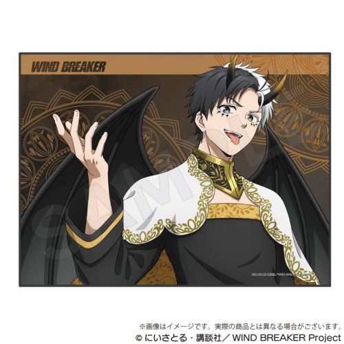 WIND BREAKER ݹ  Ver. y 