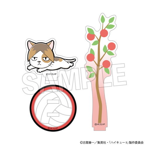 ʲ���!! ���ٽè�� ���Ⱥ 