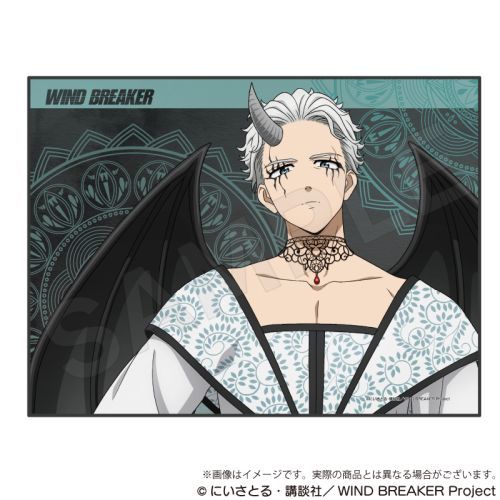 WIND BREAKER ݹ  Ver. ~{ 