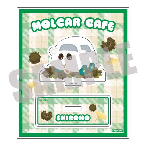 PUI PUI ٶ ٽ  AUTUMN Ver. 