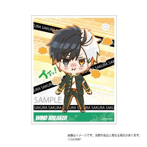 WIND BREAKER �߲�!�� �������� ���y 