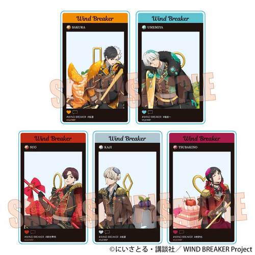 �ڰ�ިݸ� ���ٶ��� WIND BREAKER / ����� BOX 