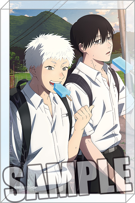 TV��� �u�������񂾉āv ������ۯ� �uB�v 