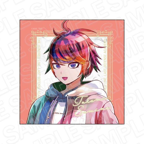 HUNDRED LINE -ŏIhqw- ϲ̧ް PALE TONE series C 