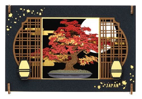 ߰߰ -޽- ݷ׸ PT-WL32 BONSAI - gt - 