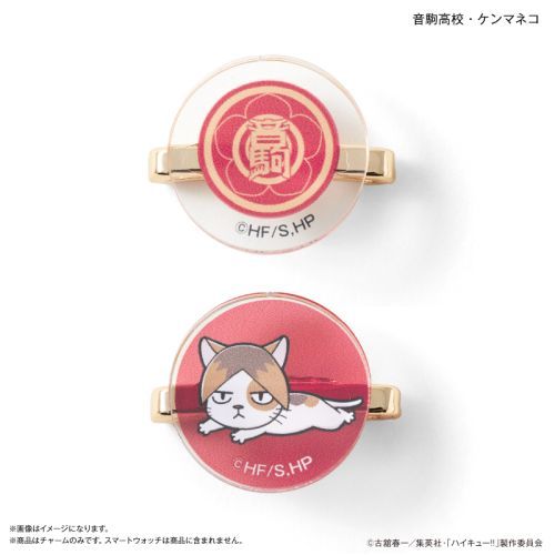 ʲ���!! �ϰĳ������� ����Z����Ⱥ 