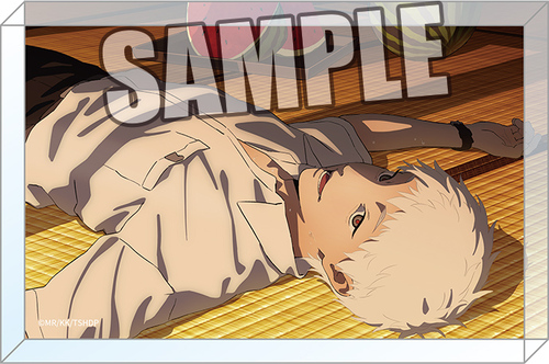 TV��� �u�������񂾉āv ������ۯ� �uD�v 