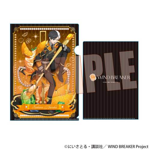 �ر̧�� WIND BREAKER / ���y (�����) 