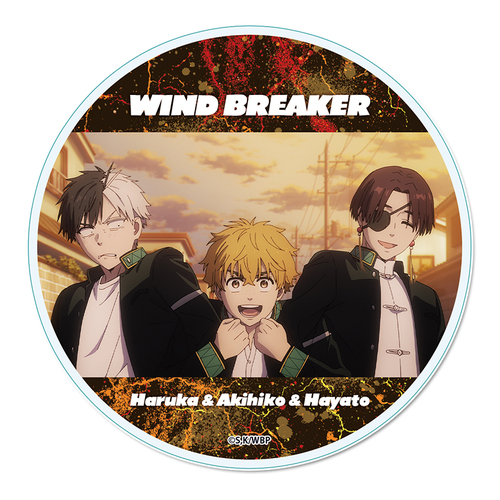 WIND BREAKER ���ٺ���� �yC�z 