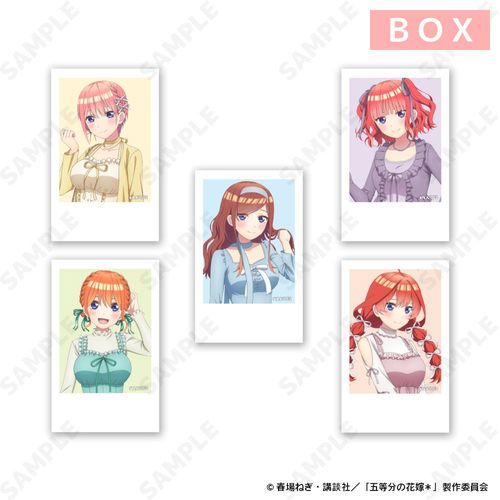 ��� �w�ܓ����̉ԉŁx ر�̨��̫� [��ڴ��] BOX 