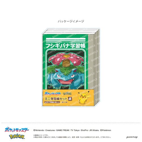 �߹���ݽ�� �Ɗw�K����� - ��11�e - (A) 