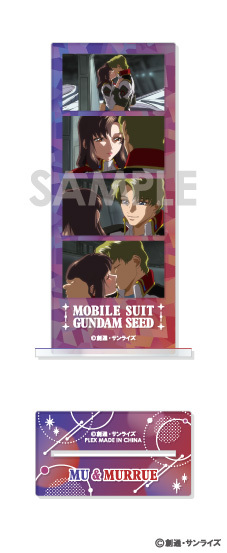 �@����m������SEED ̫Ķ�ı��ٽ���� 7. ѳ & �ح� 