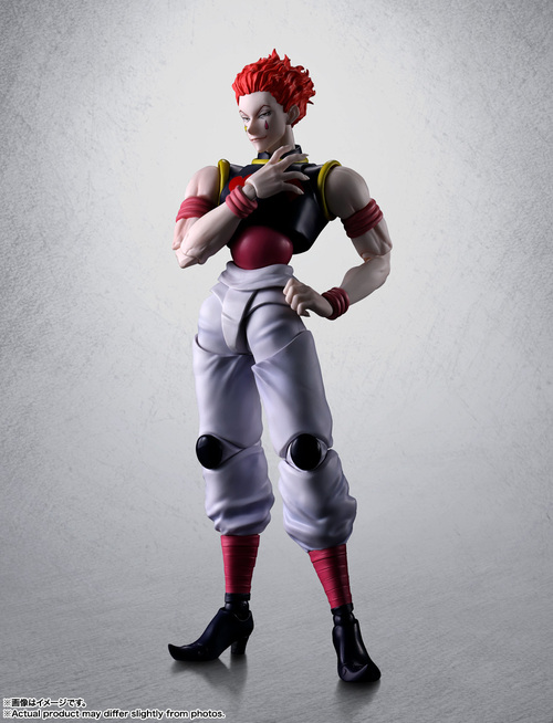 S.H.Figuarts HUNTER�~HUNTER ˿� 