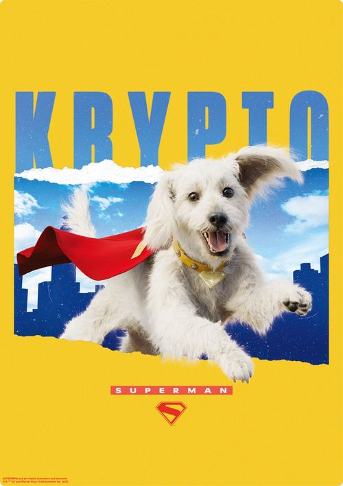 ���߰�� / A4 �ر����ް�� C 