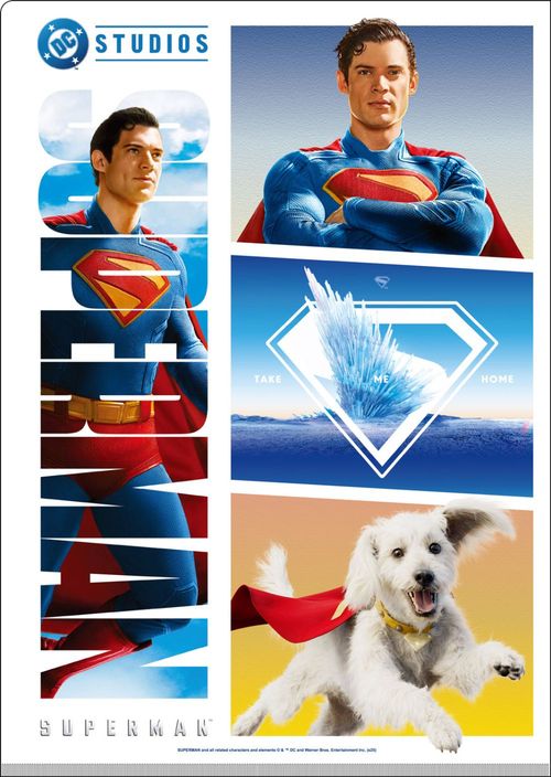 ���߰�� / W�߹�ĸر̧�� 