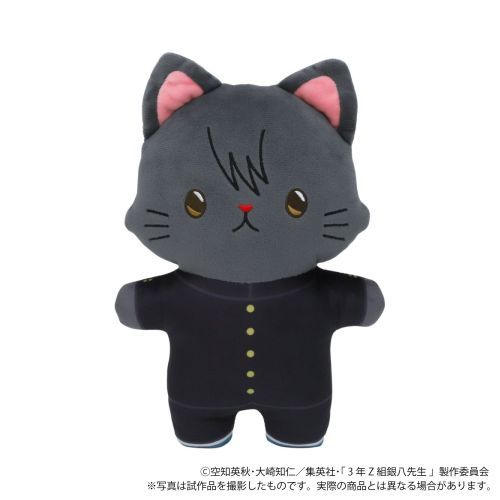 3NZg ┪搶 withCAT ϽtӂƂʂ / jY [⍰] 