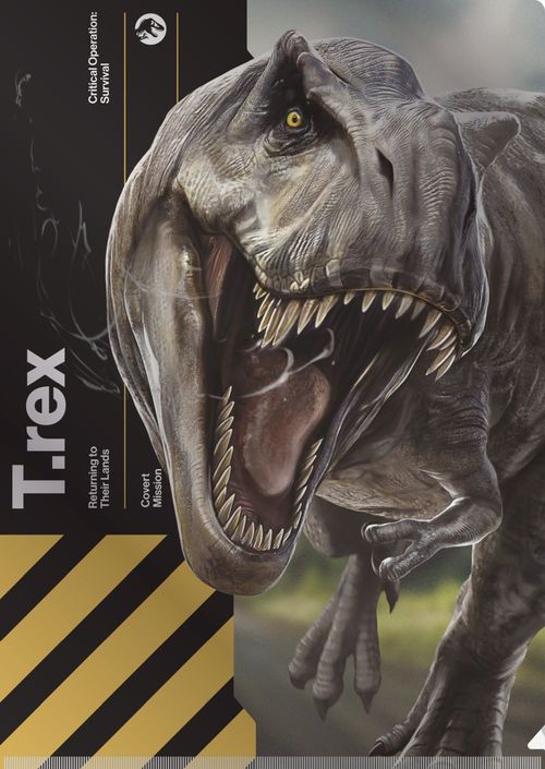 �ޭ׼���ܰ���4 / ��د��ر̧�پ�� 