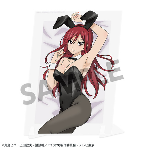 FAIRY TAIL 100�N���� �`�����낵 �޼ޭ�ٱ�����ڰ� �ٻޥ���گ� B 