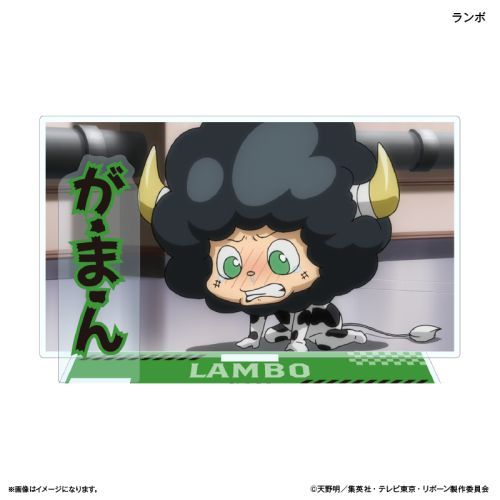 ƒ닳t˯REBORN! ̕tټ޵  