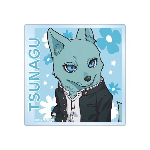 TV��� �w�ЂƉz���ė��ɂȂ�x �򍂌q ���ѷ�� ����ϸ�ȯ� 