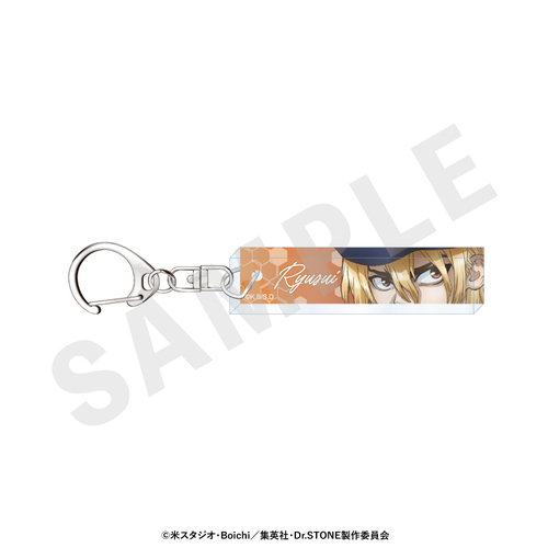 �uDr.STONE�v �`favorite series�` �ڌ����ٷ����ް (���C����) 