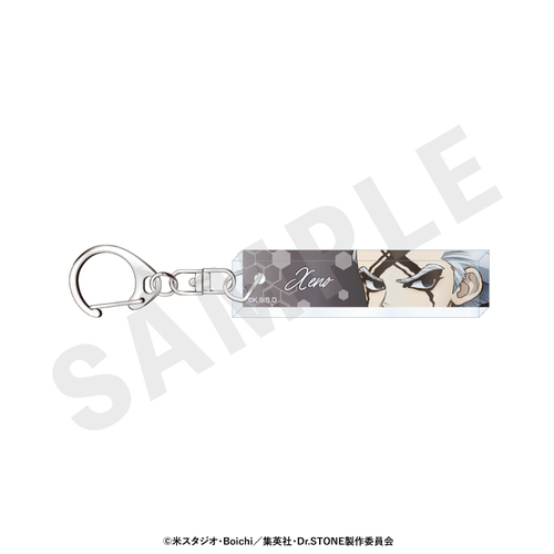 �uDr.STONE�v �`favorite series�` �ڌ����ٷ����ް (Dr.���) 