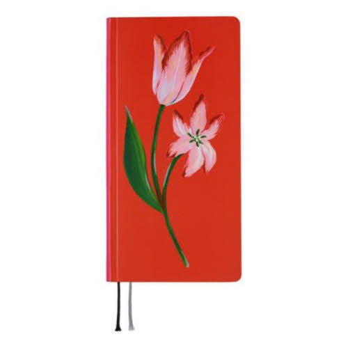 قړ蒠2026 WEEKS ذ(1n܂) 