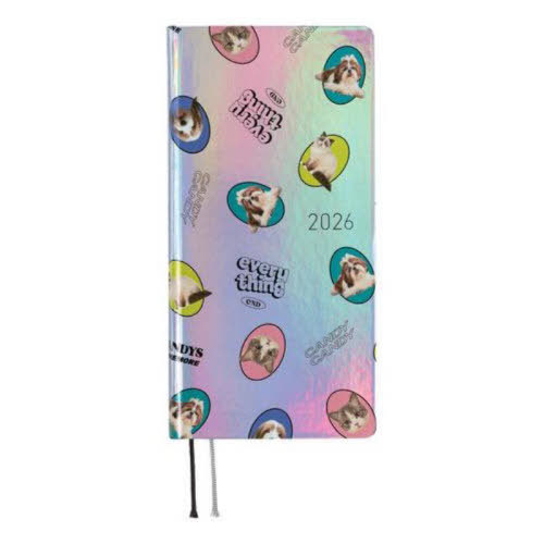 قړ蒠2026 WEEKS ذ(1n܂) 