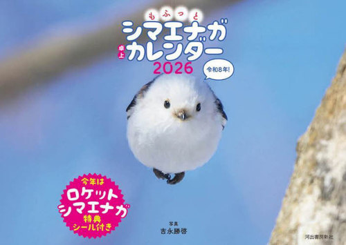 ���ӂ��ƼϴŶ� ������ް 