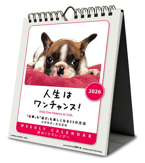 �l��������ݽ! ���/�Ǌ| 