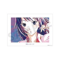 �q����r �ذ�� ��까��Ђ��� Ani-Art A3 ϯĉ��H�߽�� 